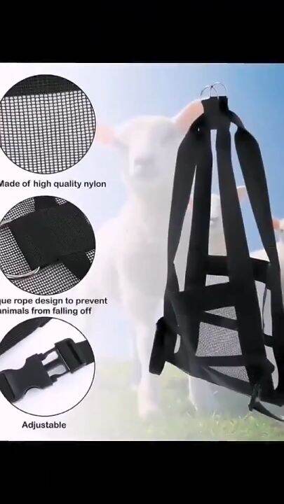 100KG Livestock Weighing Strap Calf Sling Weight Scale Sling for Goats ...