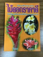 หนังสือ ไม้ดอกราคาดี ไม้ดอกที่รายได้ให้เกษตรกรอย่างงาม