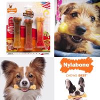 Nylabone Power Chew ของเล่นสัตว์เลี้ยง Flavor Frenzy