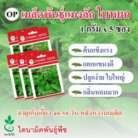 เมล็ดพันธุ์แมงลัก ใบหยก ตรา ใบไม้ ขนาด 1 กรัมต่อซอง จำนวน 5 ซอง จาก ไดนามิคพันธุ์พืช Lemon Basil seeds (Baiyok) 1 grams x 5 sachets from Dynamic Seeds