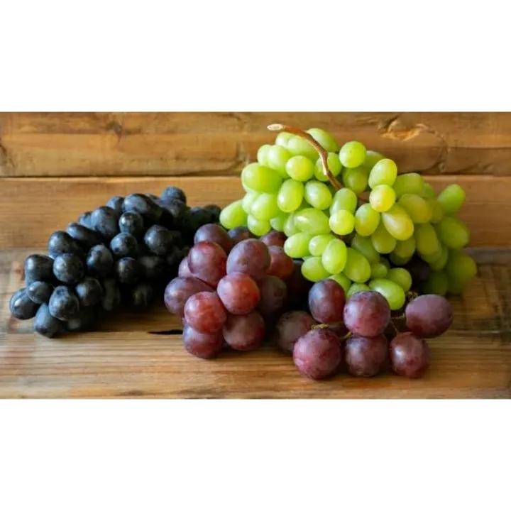 MIXED GRAPES FRUIT SEEDS Lazada PH