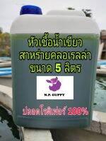 หัวเชื่อน้ำเขียว/สาหร่ายคลอเรลล่า ขนาด 5 ลิตร (ปลอดโรติเฟอร์ 100%)