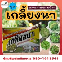 เกลี้ยงนา ชุดเล็ก 1 ชุดได้ 5 ไร่ ยาเก็บหญ้า ข้าวอายุ 15-30 วัน กำจัดหญ้าใบแคบ ใบกว้าง พิเศษซื้อ 2 ชุด แถมเสื้อ 1 ตัว