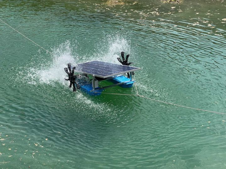 กังหันตีน้ำขนาด250วัตต์-เครื่องบำบัดน้ำเสีย-เครื่องตีน้ำ-เครื่องเพิ่มออกซิเจนในน้ำ-เครื่องปรับฮวงจุ้ยในบ่อน้ำ-บ่อกุ้งบ่อปลา
