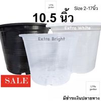 Little กระถางต้นไม้  10.5 นิ้ว 6 นิ้ว 8(7.5”)นิ้ว 5.5 นิ้ว 4 นิ้ว 3 นิ้ว (สีดำเงาA+?)(สีขาวออร่าA+?)(สีใสA+?)