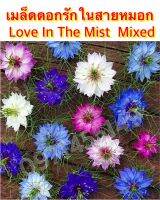 เมล็ดดอกรักในสายหมอก50เมล็ดคละสีเมล็ด  Love In The Mist  Mixed  เมล็ดนำเข้า  พันธุ์แท้100%