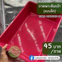 ถาดเพาะต้นกล้าไซส์ใหญ่ (คละสี) แบบทึบ ถาดเพาะต้นอ่อนผักสลัด ผักไฮโดรโปรนิกส์