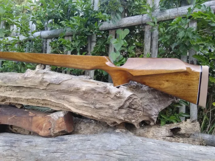 Popor Buplup Sharp Innova: Rekayasa Ergonomi dan Estetika di Dunia Modifikasi