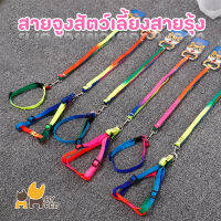 HY PET สายจูงสัตว์เลี้ยงสีรุ้ง สายรุ้ง  สายรัดอกสัตว์ สายรัดคอสัตว์ สายจูงสัตว์ แบบใส่อก แบบใส่คอ สายจูงแมว สนัข #H-D03 #H-D04