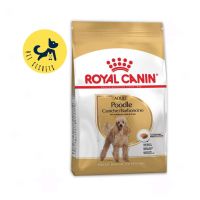 Royal Canin Poodle Adult ขนาด 500g.