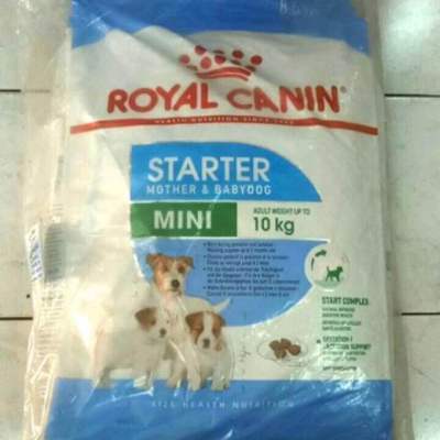 ลดราคา Royal Canin Mini Starter 8.5kg  สำหรับ แม่สุนัข ตั้งท้อง และ ลูกสุนัข พันธุ์เล็ก 8.5 kg โรยัล คานิน