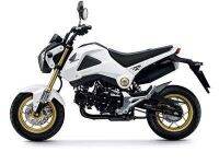 HONDA MSX125 คู่มือซ่อม เครื่องยนต์ ระบบหัวฉีด ระบบน้ำมัน ระบบเบรค โครงรถ ระบบไฟฟ้า wiring