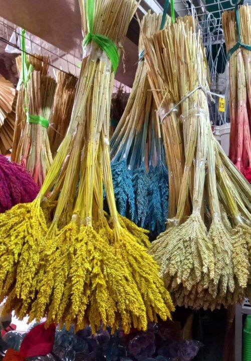 DRIED FLOWERS FOR DECORATIONS PER BUNDLE FROM BAGUIO CITY Lazada PH