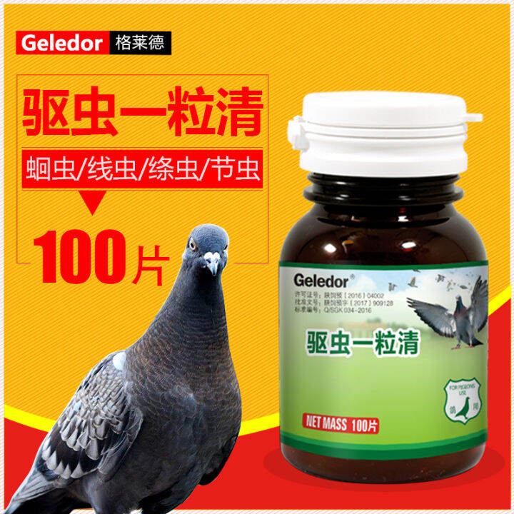 Pigeon Insect Repellent, Insect Repellent, Insect Parasite, Ascaris ...