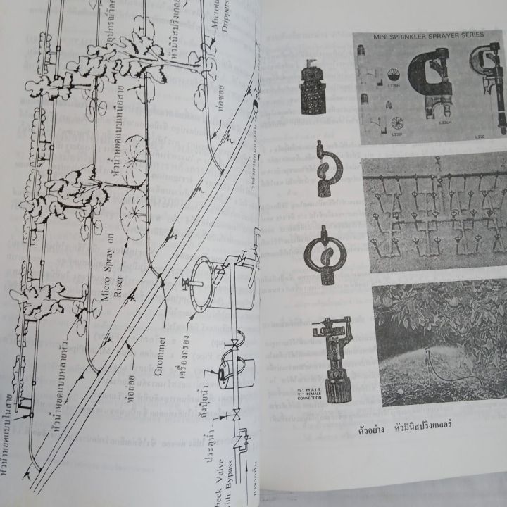 มะม่วง-เอกสารวิชาการที่-1-สถาบันวิจัยพืชสวน-กรมวิชาการเกษตร-กระทรวงเกษตรและสหกรณ์-92-หน้า-มีคราบเหลืองบ้าง