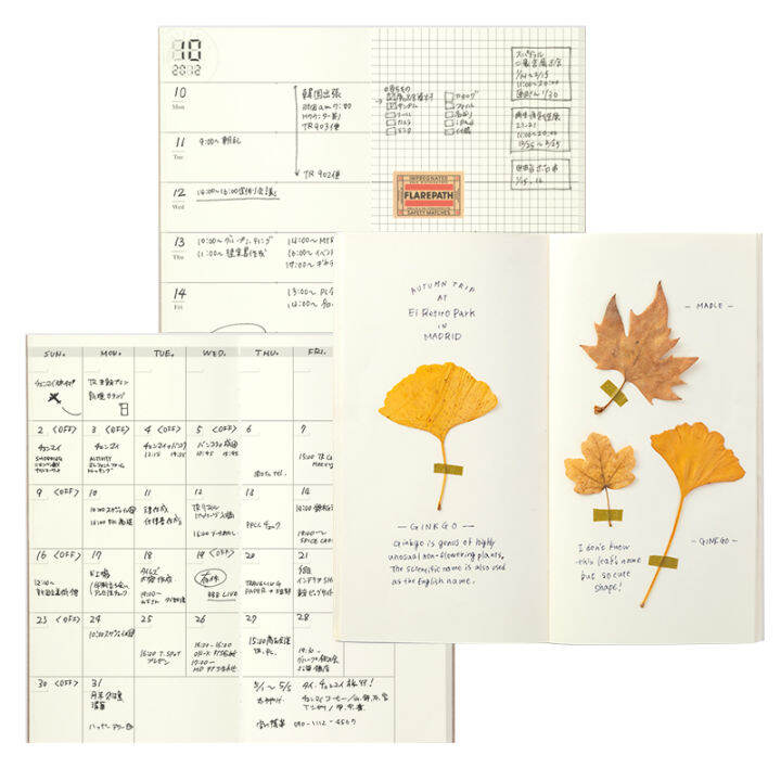 Japan Midori Traveler's Notebook Traveler Journal Book Refill Standard