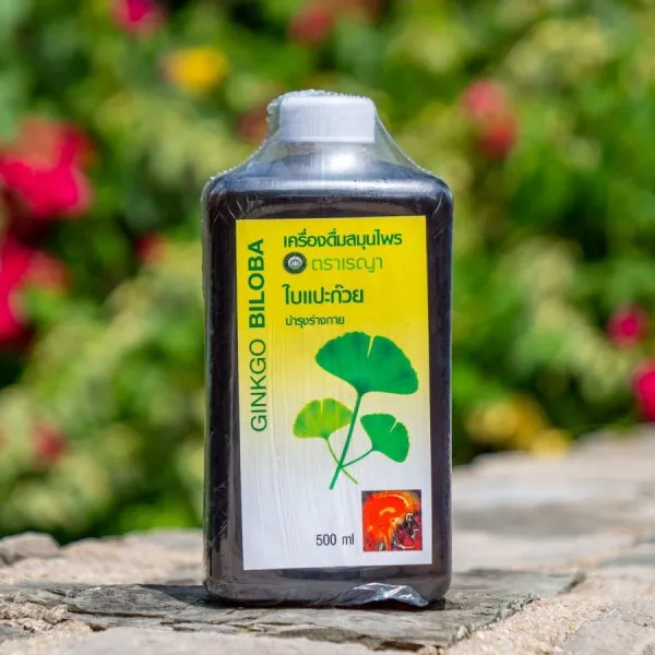 เครื่องดื่มสมุนไพร ไอคอนสีแดง ใบแปะก๊วย การดูแลร่างกาย Ginkgo Biloba