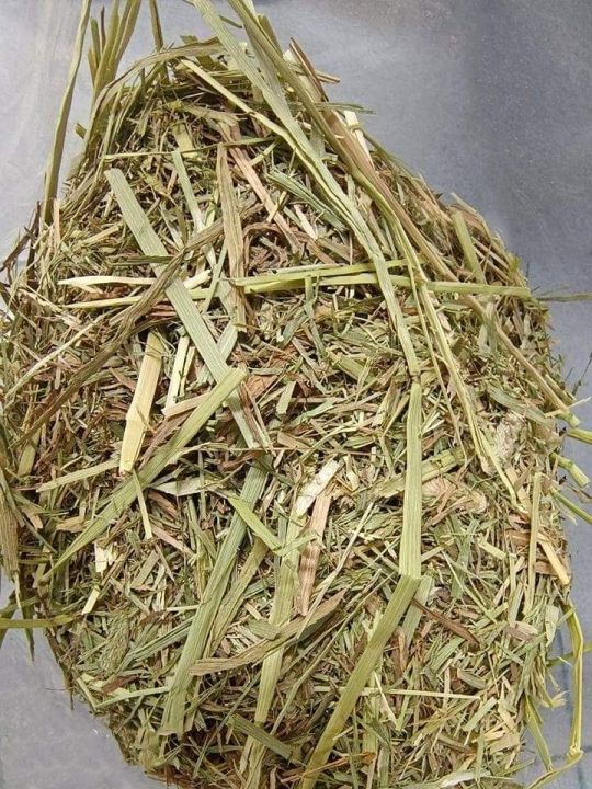 หญ้าทิมโมธีป่น-ขนาด-700g-หญ้าสำหรับกระต่าย-หนูแฮมสอตอน์-หนูชินชิลล่า