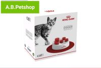 Royal Canin Cat Digger ของเล่นแมว ฝึกทักษะ Cat toy หลุมเขี่ยอาหาร