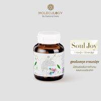 MOLECULOGY Soul Joy ผลิตภัณฑ์เสริมอาหาร โซลจอยย์ โมเลกุลโลจี้ by Diamondgrians (30 เม็ด)