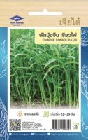 เมล็ดพันธุ์ผักบุ้งจีนเรียวไผ่ 5 ซอง