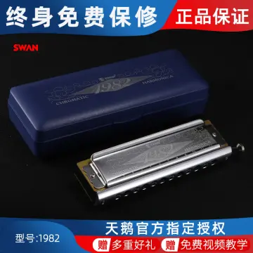 12-Hole Chromatic Scale Non-Mucosal Harmonica Adult Beginner Beginner's  Entry Playing Musical Instrument