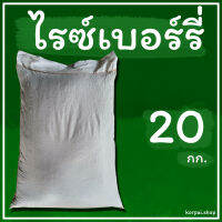 พันธุ์ข้าวไรซ์เบอรี่ชุด20กก.เป็นข้าวไม่ไวแสง