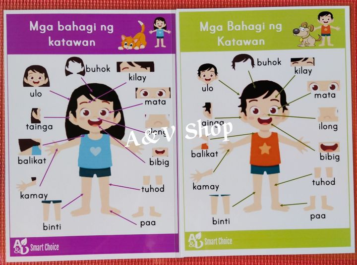 Laminated Educational Chart Bahagi Ng Katawan Chart Boy And Girl A4 6318