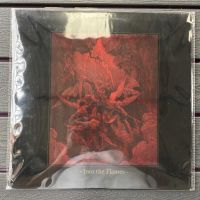 1 LP Vinyl แผ่นเสียง ไวนิล Pseudostratiffied Epithelium - Into The Flames (0787)