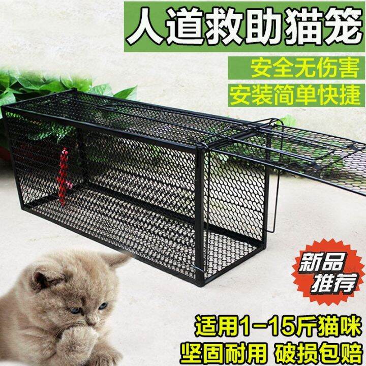 Wild Cat Trap Cat Scratching Special Offer House Cat Rescue Nice Cat ...