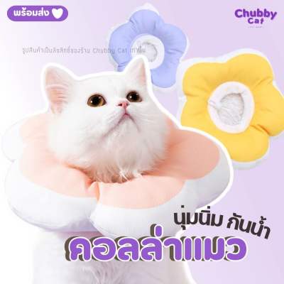 (พร้อมส่ง)คอลล่าแมว ปลอกคอกันเลียสัตว์เลี้ยง ปลอกคอแมวกันเลีย Pet Collar