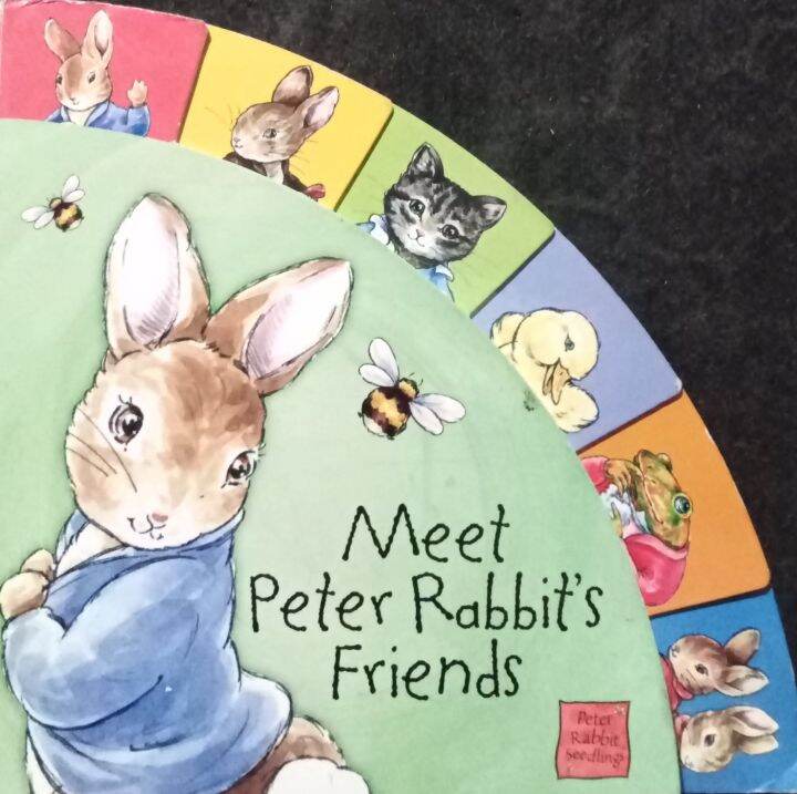 Meet Peter Rabbit Friends 22 U | Lazada PH