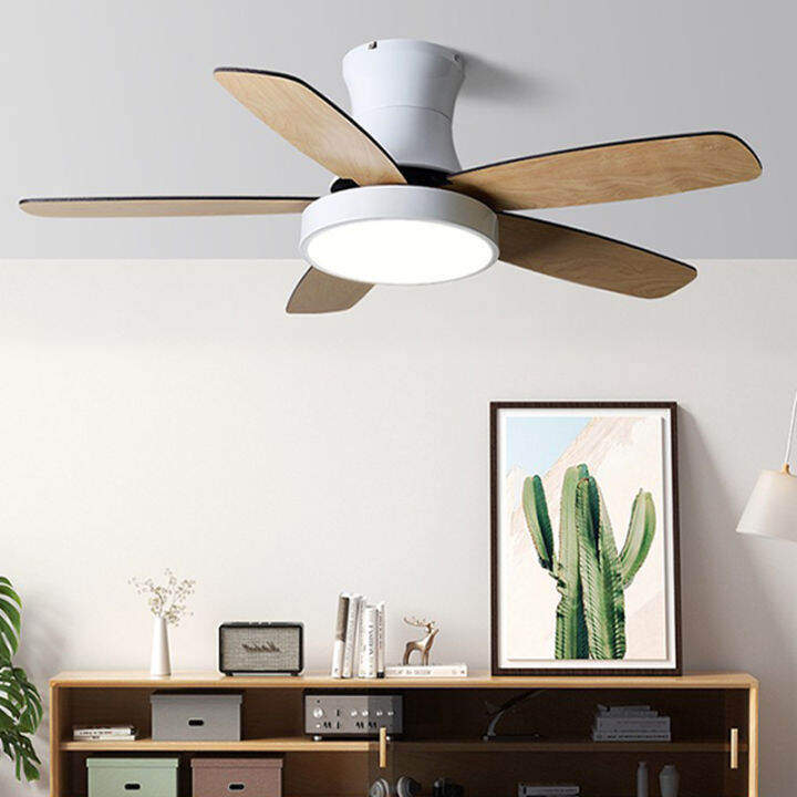 MISN Ceilings Fan with Lights Remote Control LED Ceiling Lights Modern