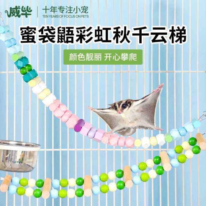 Sugar Glider Rainbow Swing Ladder Rope Climbing Flying Squirrel ...