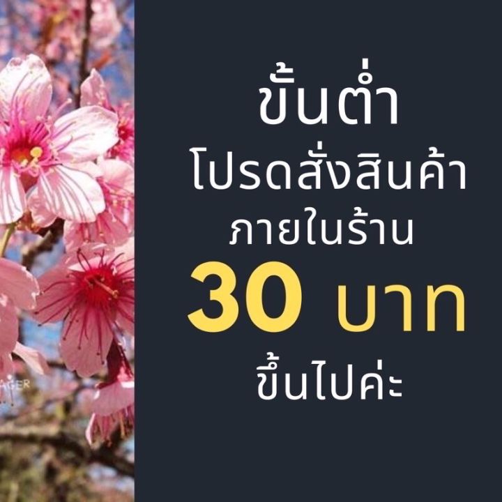 เมล็ดพันธุ์ละมุด-5-เมล็ด-ขั้นต่ำโปรดสั่งสินค้าภายในร้าน30บาทขึ้นไปค่ะ