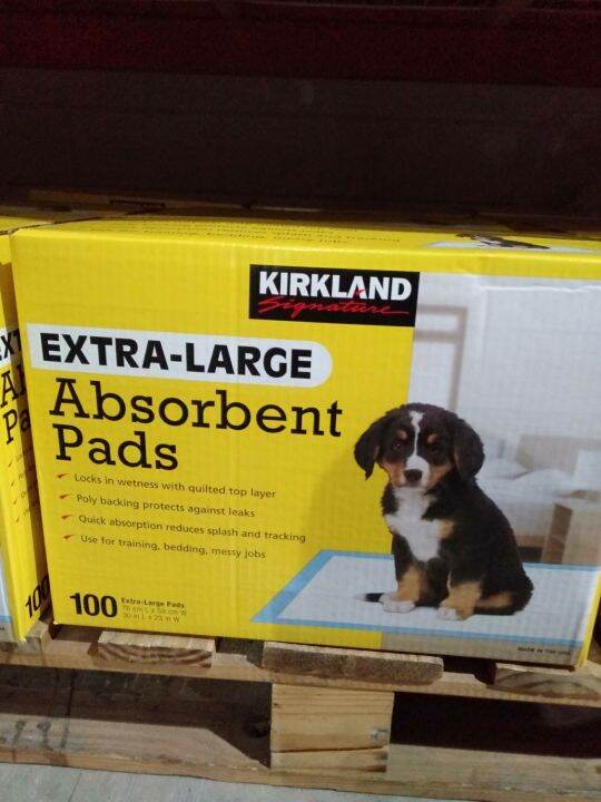 kirkland signature absorbent pads 20 by 30 INC Lazada PH