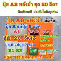 ปุ๋ยAB ชุด 20 ลิตร ปุ๋ย เข้มข้นพลังม้า ผักไฮโดรโปนิกส์ทั้งน้ำวนน้ำนิ่งและพ่นทางใบพืชทุกชนิด แถมผงเร่งรากขาวยาว ปุ๋ยแห้งผสมเองสุดคุ้มกว่า