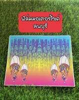 แผ่นฟิล์มทะเบียนรถมอเตอร์ไซค์ลายกราฟฟิคจังหวัดลพบุรี