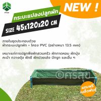 กะบะปลูกผักพร้อมโครง ขนาด 42x120x20cm ท่อขนาด 3/4”หนา 13.5มิล กะบะเพาะปลูก แปลงเพาะปลูก กะบะใส่ดินปลูกต้นไม้ แปลงปลูกผัก ถุงเพาะปลูก ถุงปลูกผัก ถุงเพาะชำ