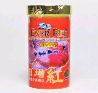 XO EVER RED (อาหารปลาหมอสี สูตรเร่งสี)