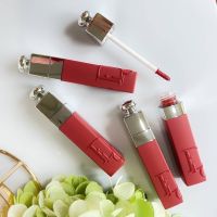 Dior Addict Lip Tint No-Transfer Lip Tint 5ml # 541 Natural Sienna