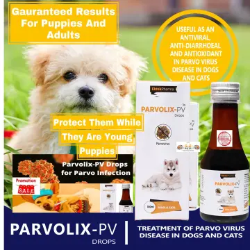 Parvo medicine hotsell