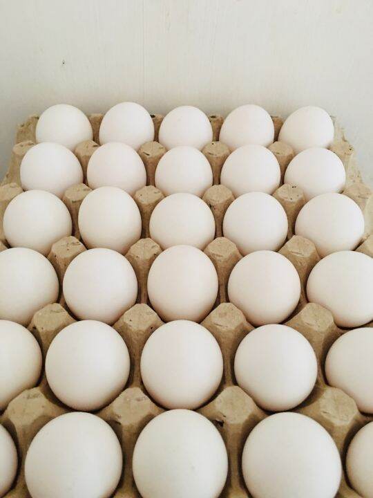 Why Are White Eggs Cheaper? Unveiling The EggCiting Economics