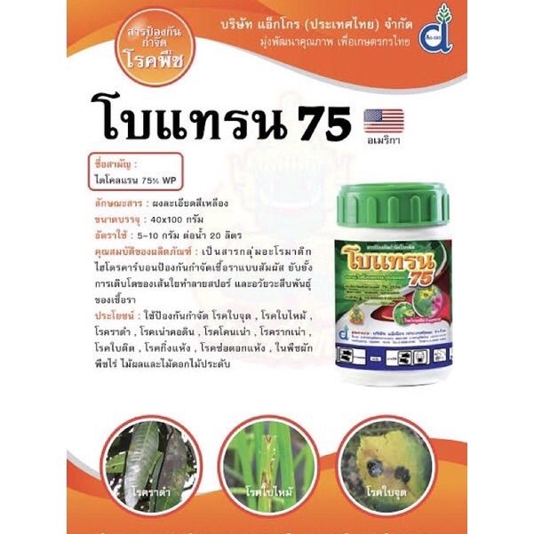 โบแทรน-ไดโคลแรน-dicloran-75-wp-100-กรัม