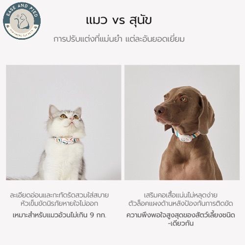 ปลอกคอสุนัข-ปลอกคอ-ปลอกคอแมว-ปลอกคออัจฉริยะ-pet-smart-activity