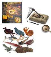 T.P. TOYS ANCIENT CREATURES DIG DIY ขุดฟอสซิล สุ่มขุดฟอสซิล 1 ชุดคละแบบ