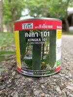 แตงร้าน คงคา101 แตกแขนงดี ผลสีเขียวยาว 18-20 ซม