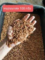 อาหารเสริมสำหรับสัตว์เลี้ยงขนาด 100 กรัม (รับประกันตายเครมฟรีไม่เสียค่าใช้จ่าย)