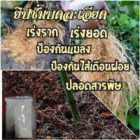 ยิปซั่มบดละเอียด ธรรมชาติ100% แพค10กก.