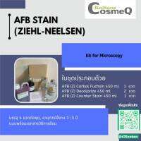 สีย้อม AFB STAIN (ZIEHL-NEELSEN)